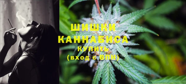 стаф Богородицк