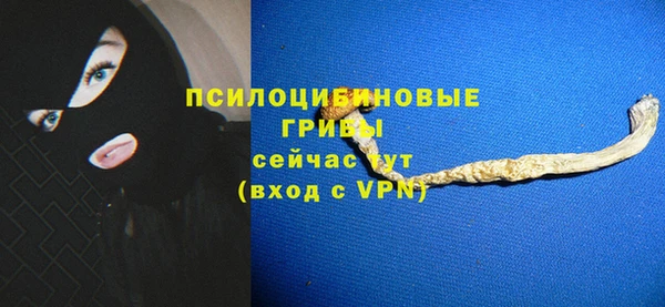 крисы Богородск