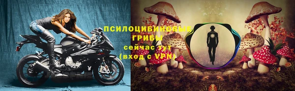синтетический гашиш Богданович