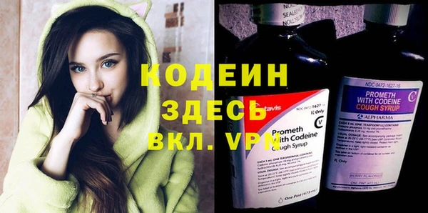 стаф Богородицк