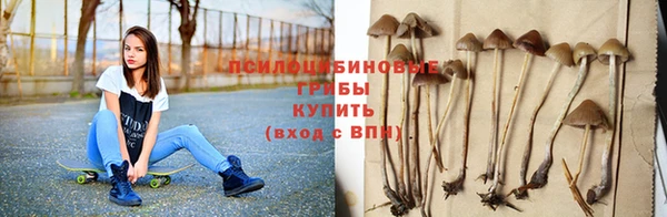 синтетический гашиш Богданович